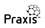 Praxis Framework™ logo