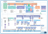 PRINCE2 Agile Process Model (A3 poster)